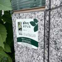 大阪駅 都市のオアシス