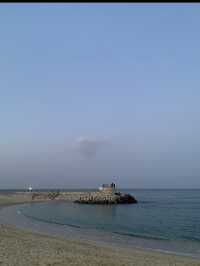 여름 해수욕장은 강릉 '강문해변' ! 🌊 