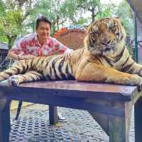 Hugging New Beastie in Tiger Kingdom Phuket.