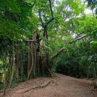 สวนศรีนครเขื่อนขันธ์
