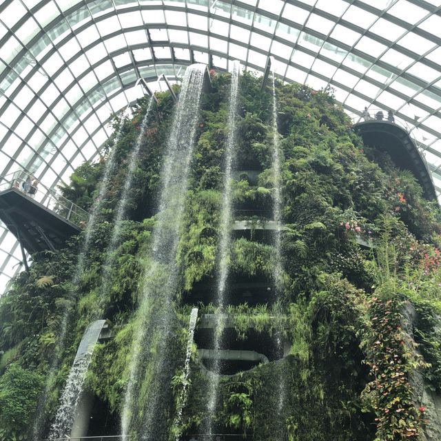 One of the world’s tallest indoor waterfalls!