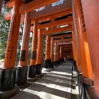 京都「伏見稻荷大社」之「千本鳥居」 💁🏻‍♂️ 連續兩年被票選為外國人訪日最受歡迎的景點