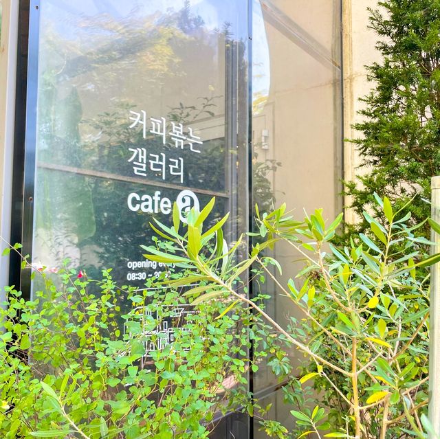 파주 핫플 카페 아르디움