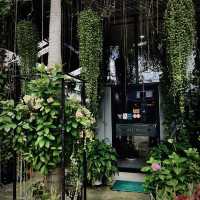 柬埔寨西港 城市中的綠洲Verdant cafe