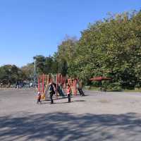 百合が原公園で小さい秋みーつけた