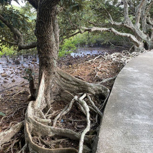 親子行山好去處👣 烏絞騰->三亞村->荔枝窩