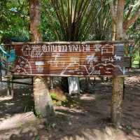 ศูนย์เรียนรู้ในชุมชนบ้านเกาะกลาง