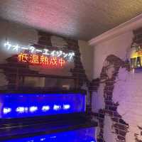 【新大久保】ここでしか食べられない熟成肉🇰🇷ナンマンゴギ
