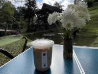 จิบกาแฟ กลางป่าเขา ที่ตุ้บอุ้ยจีน เชียงดาว
