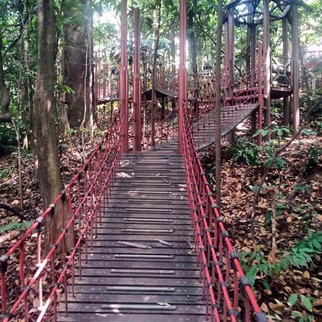 A beautiful moment at Kl eco forest park