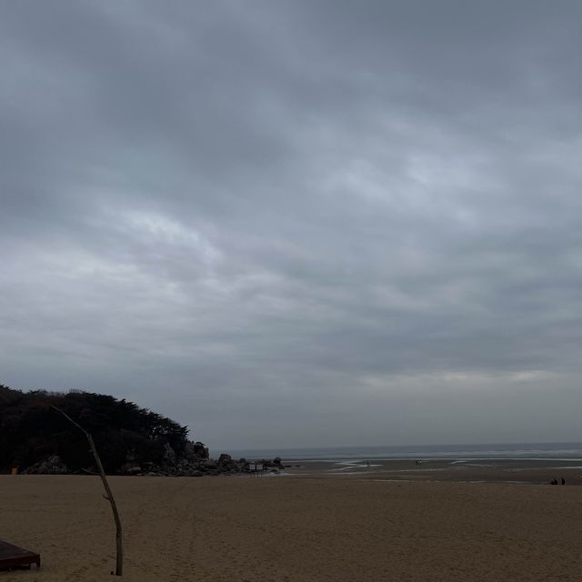 서울 근교 바다 여행 