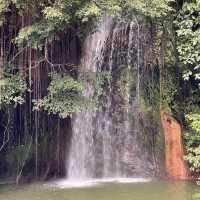 Exploring the Beautiful Nature in Brunei 