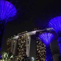 旅遊推介 新加坡🇸🇬站SupertreeGrove