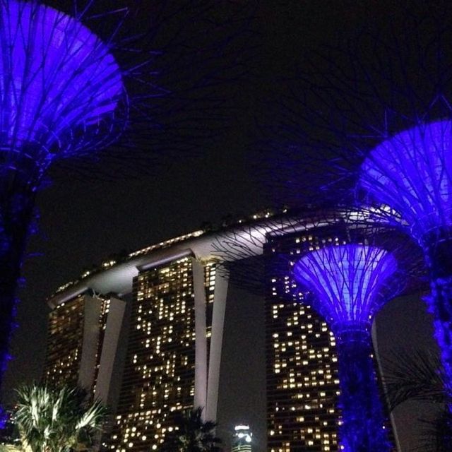 旅遊推介 新加坡🇸🇬站SupertreeGrove