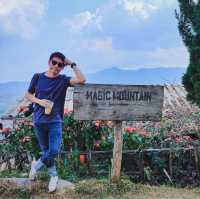 Magic Mountain ภูลังกา จิบแฟ แลวิวผาช้างน้อย