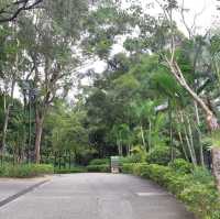 沙田中央公園