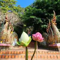 วัดพระธาตุดอยสุเทพราชวรวิหาร