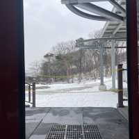 눈덮인 설산과함께❄️씨사이드리조트 루지