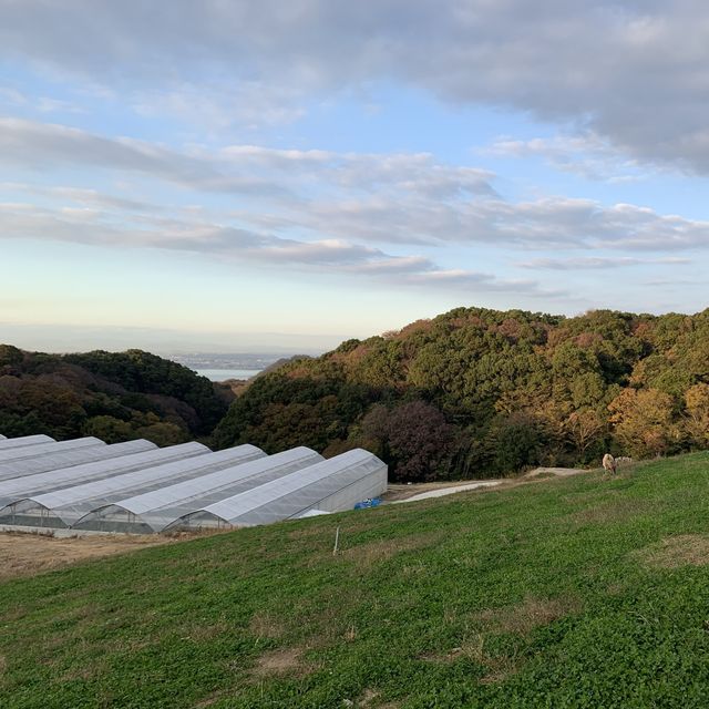 淡路島の穴場カフェ