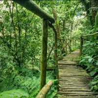Wake Up in Nature
