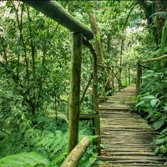 Wake Up in Nature