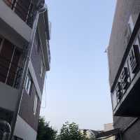 [가로수길] 이솝+가로수길 산책