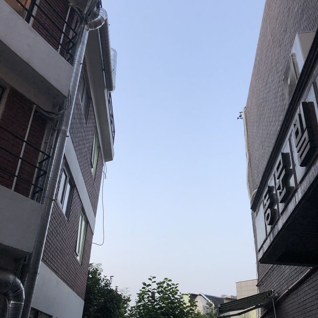 [가로수길] 이솝+가로수길 산책