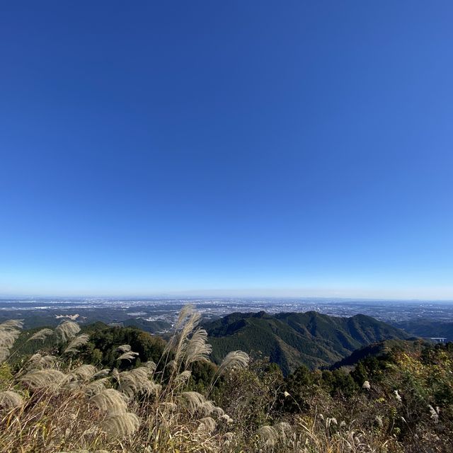 紅葉の景信山