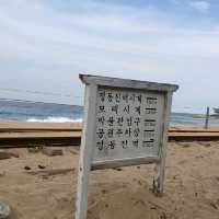 한적하고 고즈넉한 분위기 맛집 <정동진>