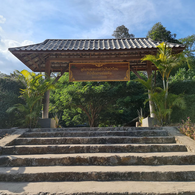 น้ำตกตาดร้อยครัว (Green Jungle Park)