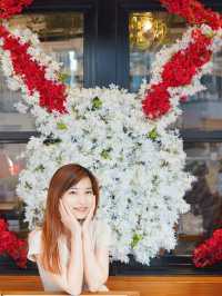 🐰兔兔主題cafe