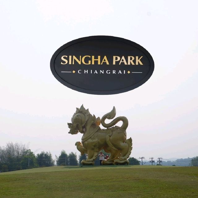 🌳 มาเชียงราย ต้องไปsingha park 🌳