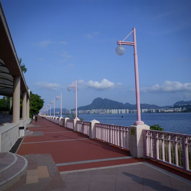 單車遊大尾督