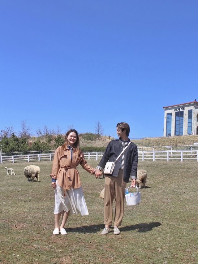 제주에서 만난 극강의 귀여운 존재들