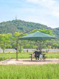 가볍게 산책하기 좋은 #태화강국가정원 🌿 