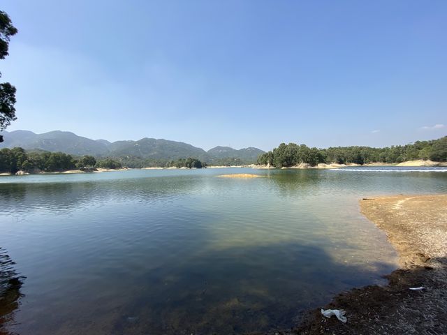 大欖水塘