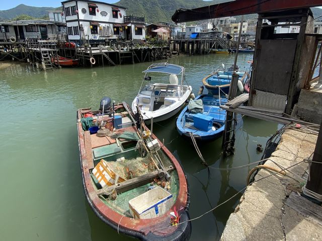 新基大橋 新基大橋
