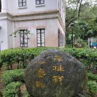 香港的城市綠洲🏕🏖