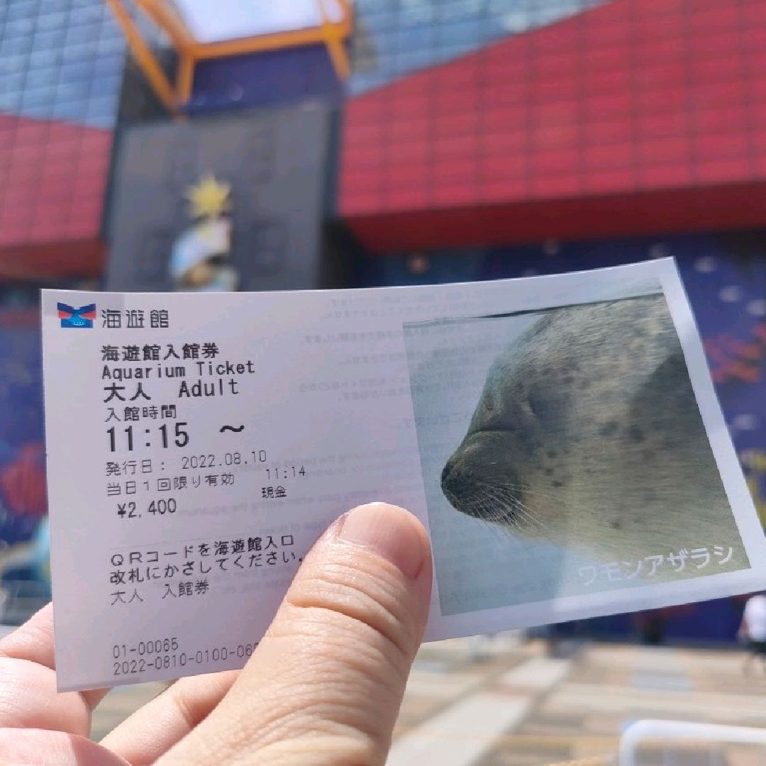 海 遊館 チケット 値段