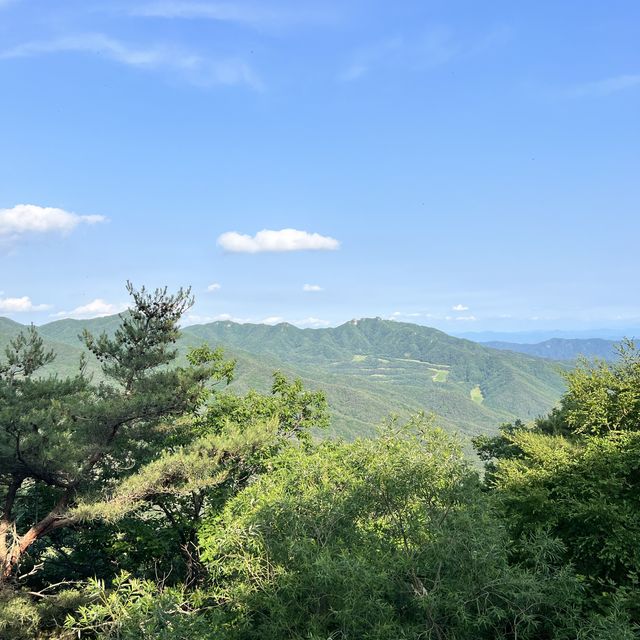 대구에 오면 팔공산은 필수코스 🌳