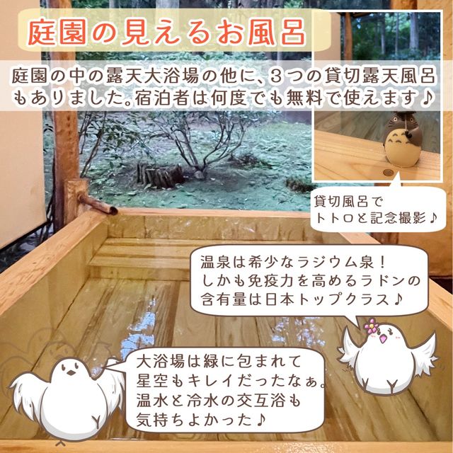 人気宿ランキング常連の温泉旅館「風雅の宿　長生館」宿泊記録　