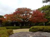 【福岡】動植物園近くの日本庭園