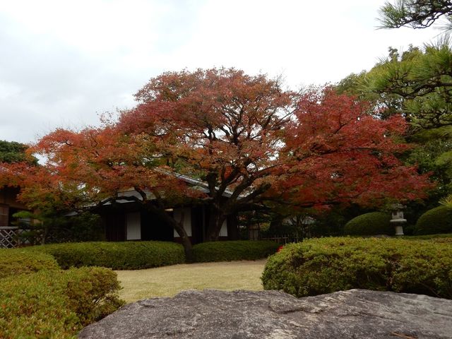 【福岡】動植物園近くの日本庭園