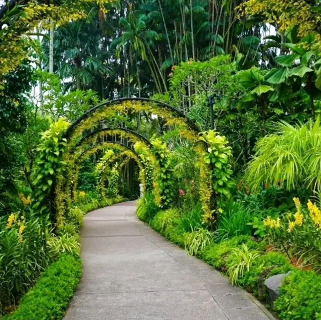 新加坡的植物園