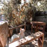 น.น่าน Café