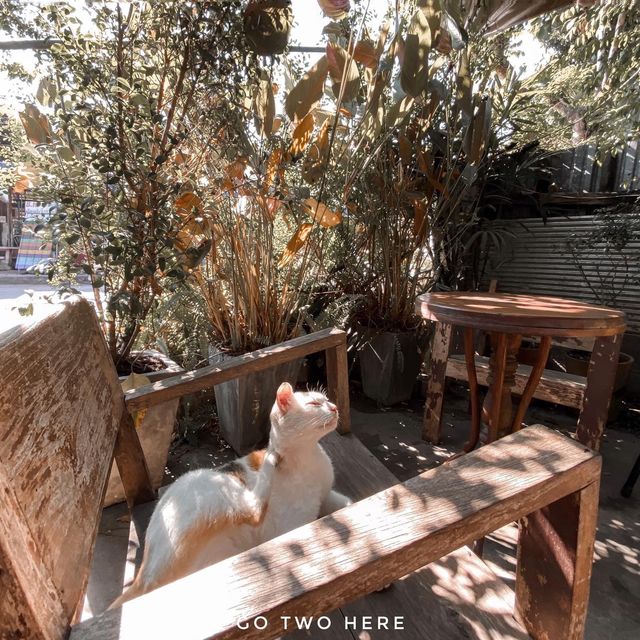 น.น่าน Café