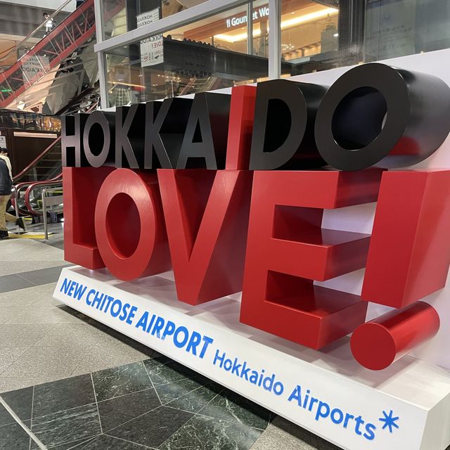 広くて１日いれちゃう空港✈️
