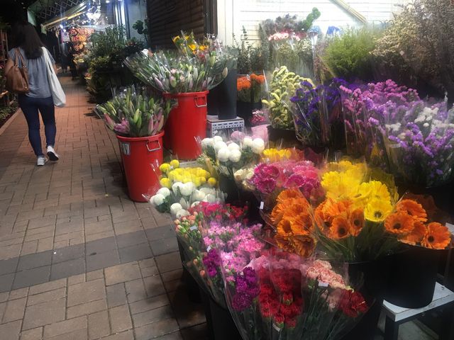 Flowery street 🌹💐🌸🌺🌷🌻🌼