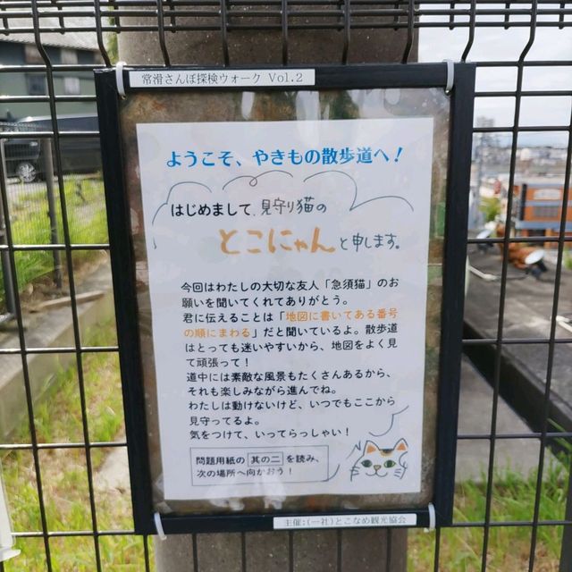 愛知県！常滑市の見まもり猫｢とこにゃん｣
