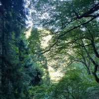 东京周边登山好去处-御岳山